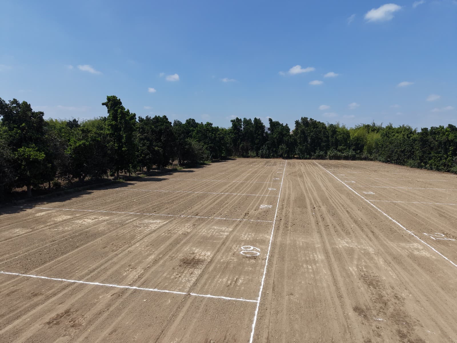 Vista Aérea del Proyecto